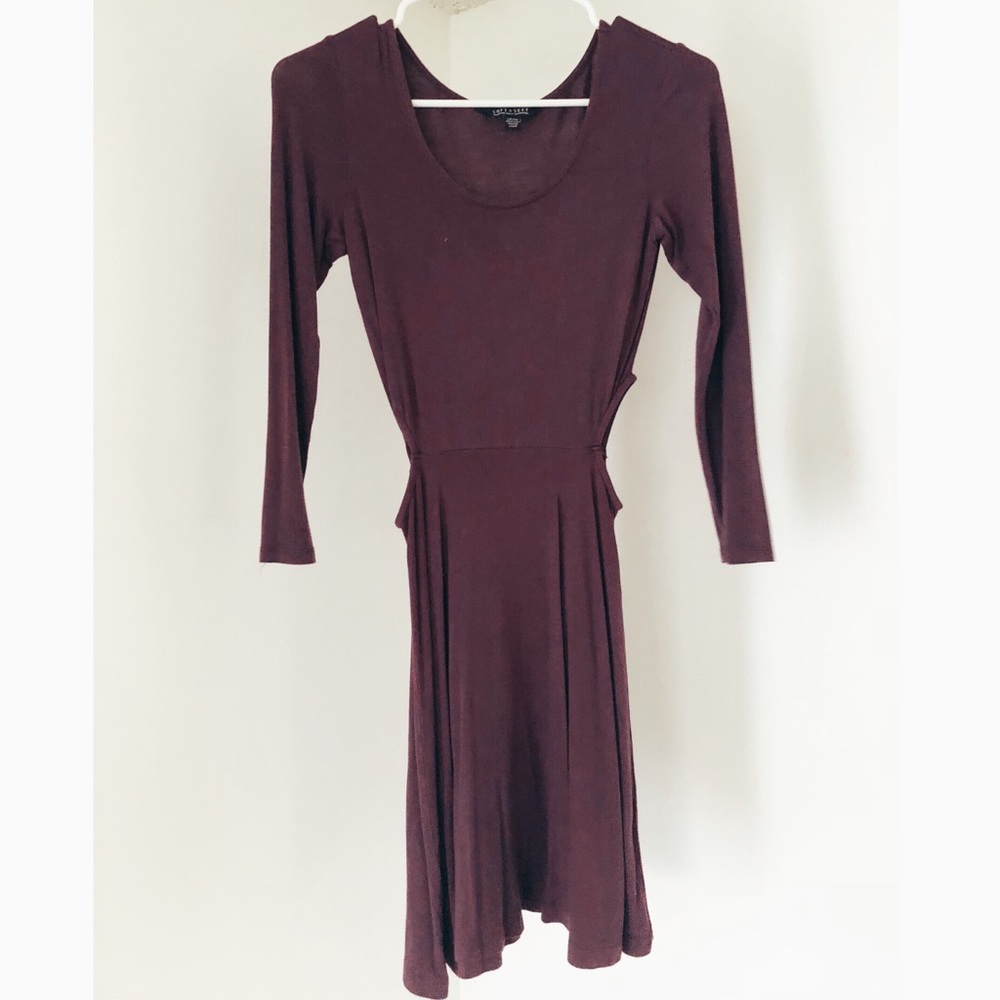 American eagle Purple skater dress
